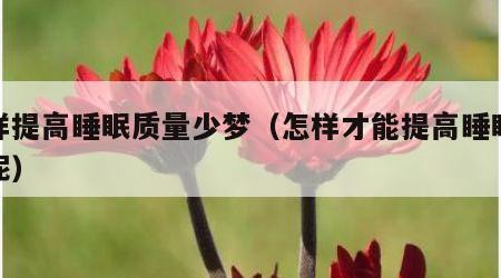 怎样提高睡眠质量少梦（怎样才能提高睡眠质量呢）