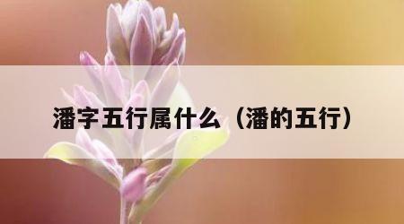 潘字五行属什么（潘的五行）