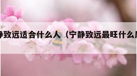 宁静致远适合什么人（宁静致远最旺什么属相）