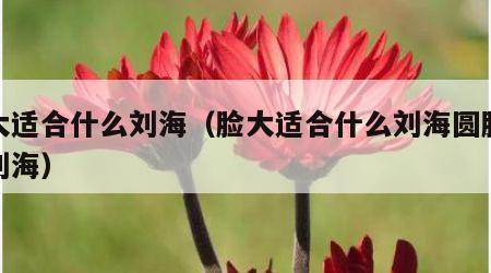 脸大适合什么刘海（脸大适合什么刘海圆脸适合刘海）