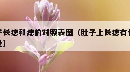 肚子长痣和痣的对照表图（肚子上长痣有什么好处）
