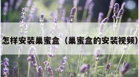 怎样安装巢蜜盒（巢蜜盒的安装视频）