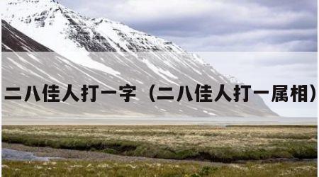 二八佳人打一字（二八佳人打一属相）