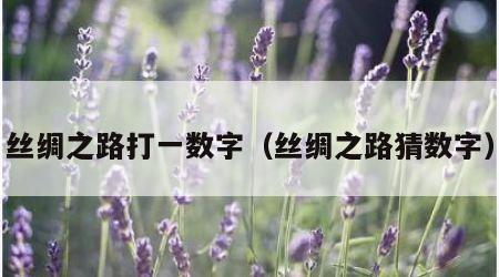 丝绸之路打一数字（丝绸之路猜数字）