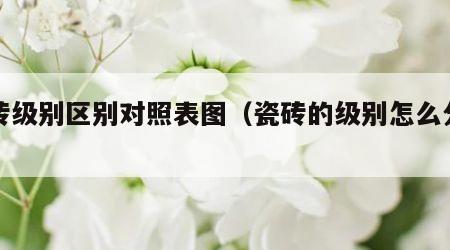 瓷砖级别区别对照表图（瓷砖的级别怎么分类的）