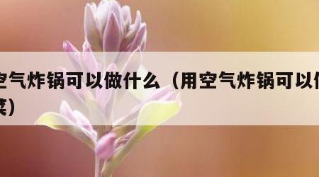 用空气炸锅可以做什么（用空气炸锅可以做什么菜）