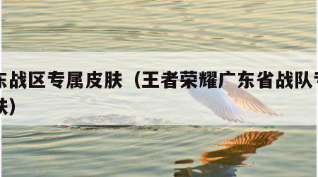 广东战区专属皮肤（王者荣耀广东省战队专属皮肤）