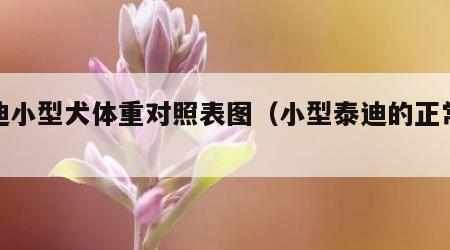 泰迪小型犬体重对照表图（小型泰迪的正常体重）