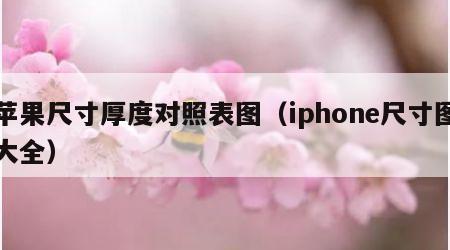 苹果尺寸厚度对照表图（iphone尺寸图大全）