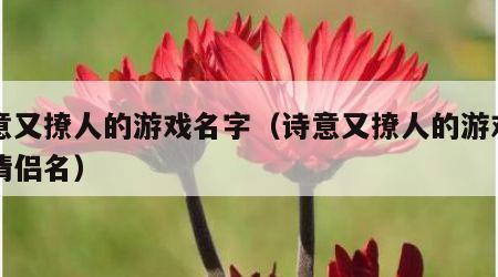 诗意又撩人的游戏名字（诗意又撩人的游戏名字情侣名）