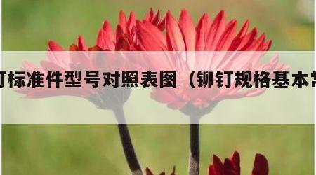铆钉标准件型号对照表图（铆钉规格基本常识）