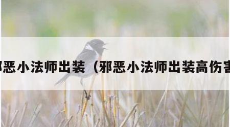 邪恶小法师出装（邪恶小法师出装高伤害）