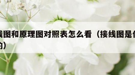接线图和原理图对照表怎么看（接线图是什么样的）