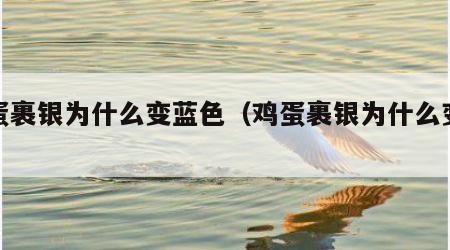 鸡蛋裹银为什么变蓝色（鸡蛋裹银为什么变黑色）