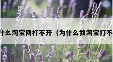 为什么淘宝网打不开（为什么我淘宝打不开）