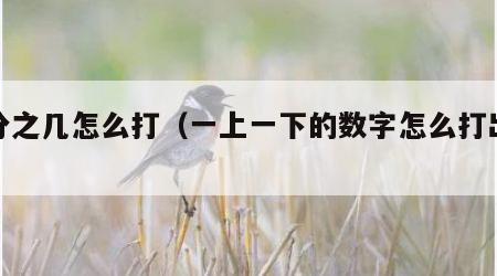 几分之几怎么打（一上一下的数字怎么打出来）