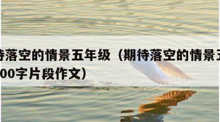 期待落空的情景五年级（期待落空的情景五年级300字片段作文）