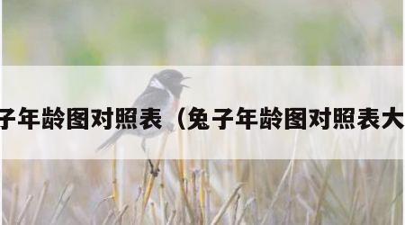 兔子年龄图对照表（兔子年龄图对照表大全）