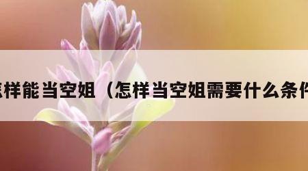 怎样能当空姐（怎样当空姐需要什么条件）