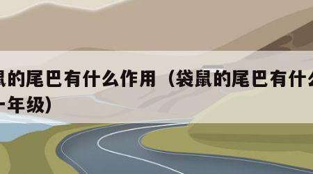 袋鼠的尾巴有什么作用（袋鼠的尾巴有什么作用一年级）