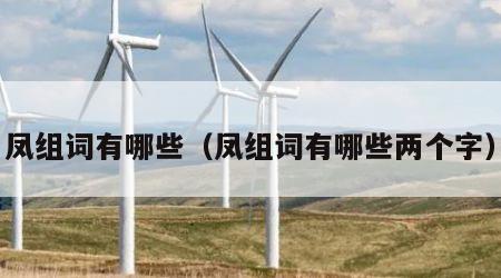 凤组词有哪些（凤组词有哪些两个字）