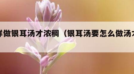 怎样做银耳汤才浓稠（银耳汤要怎么做汤才浓稠）