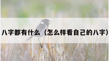 八字都有什么（怎么样看自己的八字）