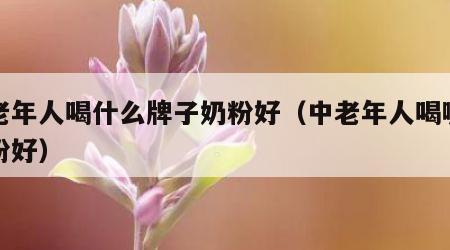 中老年人喝什么牌子奶粉好（中老年人喝哪种奶粉好）
