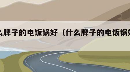 什么牌子的电饭锅好（什么牌子的电饭锅好一点）