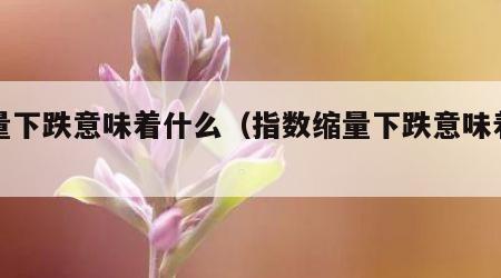 缩量下跌意味着什么（指数缩量下跌意味着什么）