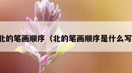 北的笔画顺序（北的笔画顺序是什么写）