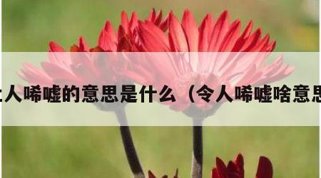 让人唏嘘的意思是什么（令人唏嘘啥意思）