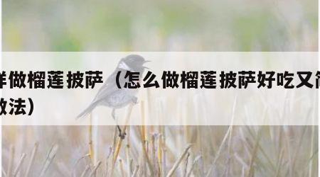 怎样做榴莲披萨（怎么做榴莲披萨好吃又简单的做法）