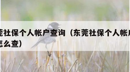 东莞社保个人帐户查询（东莞社保个人帐户查询怎么查）