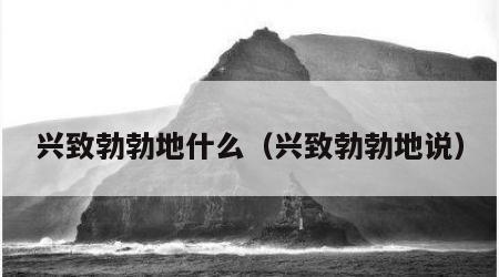 兴致勃勃地什么（兴致勃勃地说）