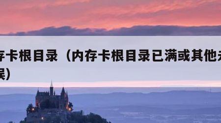 内存卡根目录（内存卡根目录已满或其他未知错误）