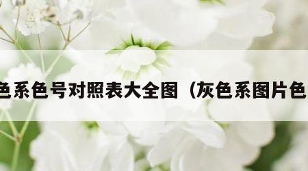灰色系色号对照表大全图（灰色系图片色卡）