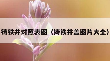 铸铁井对照表图（铸铁井盖图片大全）
