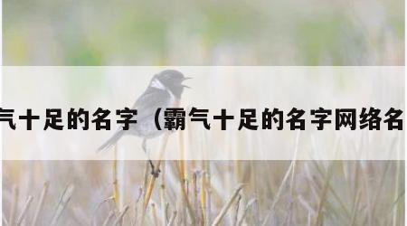 霸气十足的名字（霸气十足的名字网络名字）