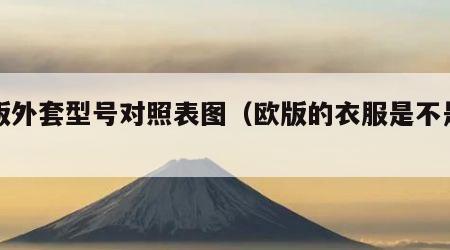 欧版外套型号对照表图（欧版的衣服是不是偏大）