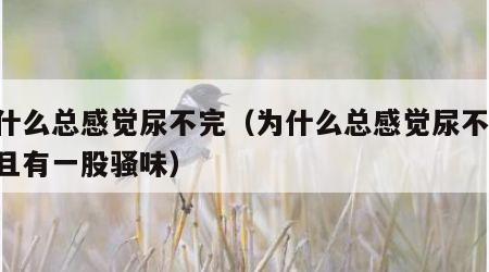 为什么总感觉尿不完（为什么总感觉尿不完,并且有一股骚味）