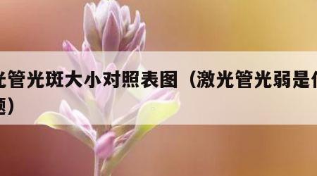 激光管光斑大小对照表图（激光管光弱是什么问题）