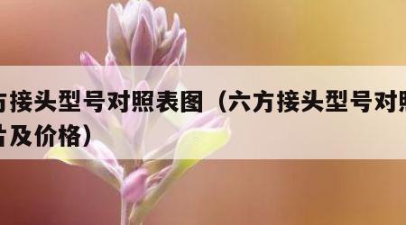 六方接头型号对照表图（六方接头型号对照表图片及价格）