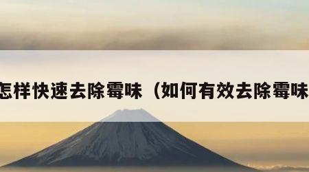 怎样快速去除霉味（如何有效去除霉味）