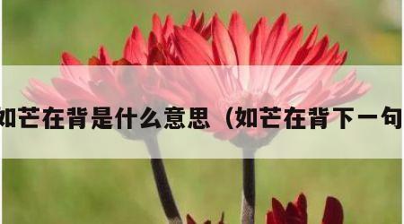 如芒在背是什么意思（如芒在背下一句）