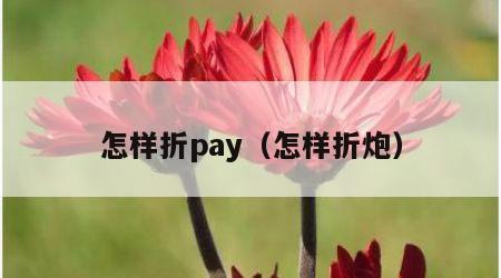 怎样折pay（怎样折炮）