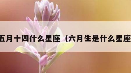 五月十四什么星座（六月生是什么星座）