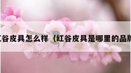 红谷皮具怎么样（红谷皮具是哪里的品牌）