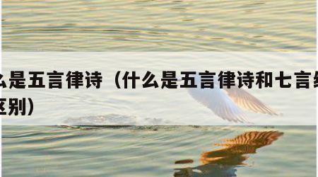 什么是五言律诗（什么是五言律诗和七言绝句的区别）