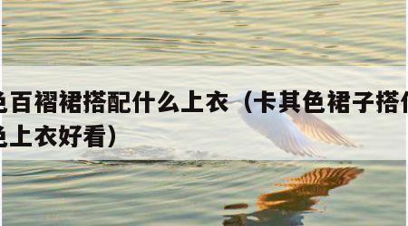 灰色百褶裙搭配什么上衣（卡其色裙子搭什么颜色上衣好看）